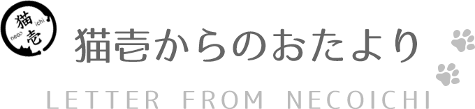 猫壱からのおたより