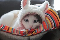 よってるよってる(( ´艸｀))