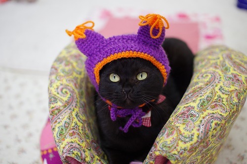 小顔すぎる・・・