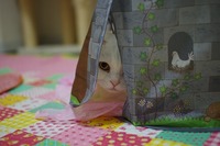 続続・待ち伏せ