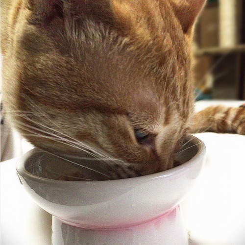 ご飯が進むね～😋