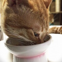 ご飯が進むね～😋