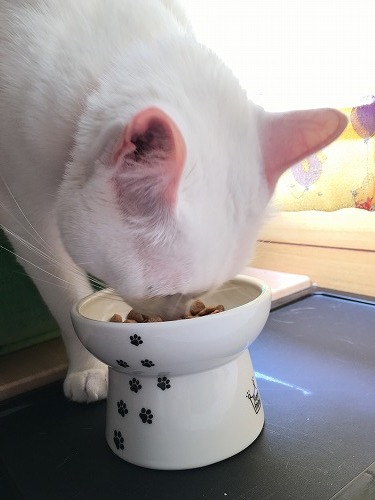 食べやすいから、ノンストレスだニャン