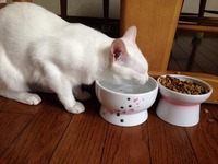 真顔で、ひたすら…