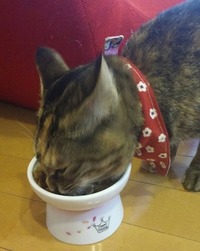 食べやすいね！