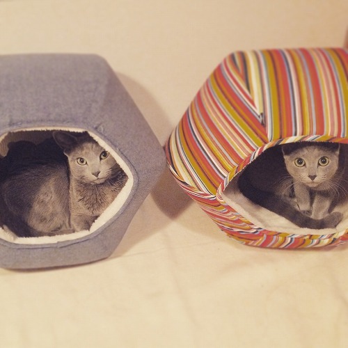 いろちがいおそろ。