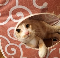 たくさん遊んだ後のくつろぎタイム