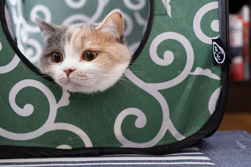 お気に入りの場所