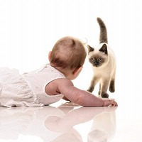 まさかのNG! 飼い主がやりがちな猫にとって良い事がダメな2つの事例