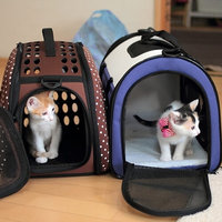 里親募集・ネット編　～里親詐欺に遭わないために～