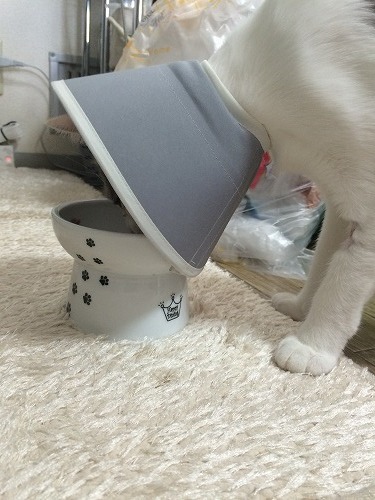 手術後のごはん