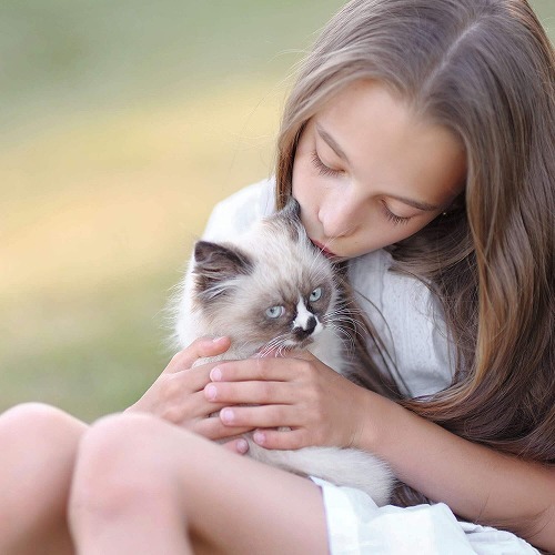 猫の○○を刺激するだけ♪病気にならない体を作るコミュニケーション法②