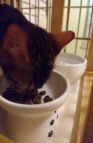 たべやすいのだぁ