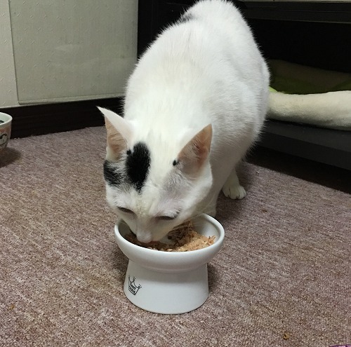 お姉ちゃんのは僕の❣️