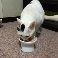 お姉ちゃんのは僕の❣️