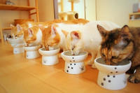 並んで並んで♪