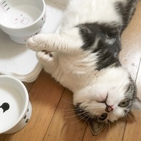 おーなーかーすいたー！