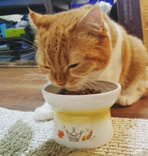 秋ももぐもぐ。