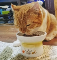 秋ももぐもぐ。