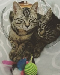 遊び疲れて寝ちゃったZzz