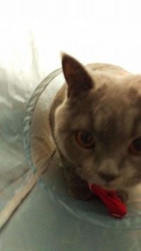 誕生日プレゼント