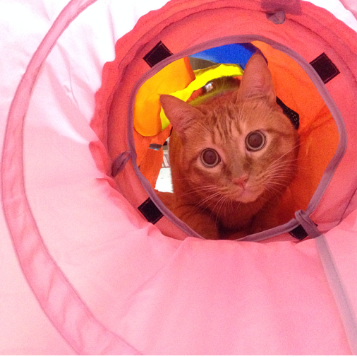 お気に入り❤️