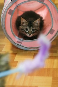 狙いを定めて・・・。