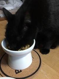 ご飯が楽しみにゃ！