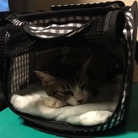 カプセルホテルのように