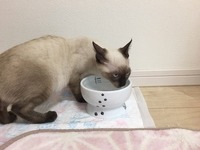 うーん、美味しい