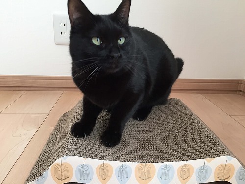 ☆写真投稿キャンペーンご当選☆