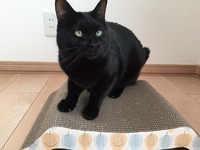 ☆写真投稿キャンペーンご当選☆