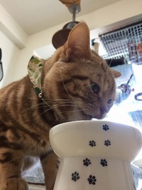 お腹空いた～～