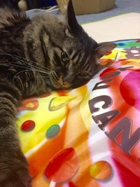 遊び疲れたよー