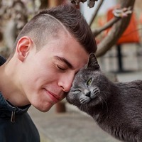 一流になる人は猫と暮らしている？猫が人を成功に導く2つの法則