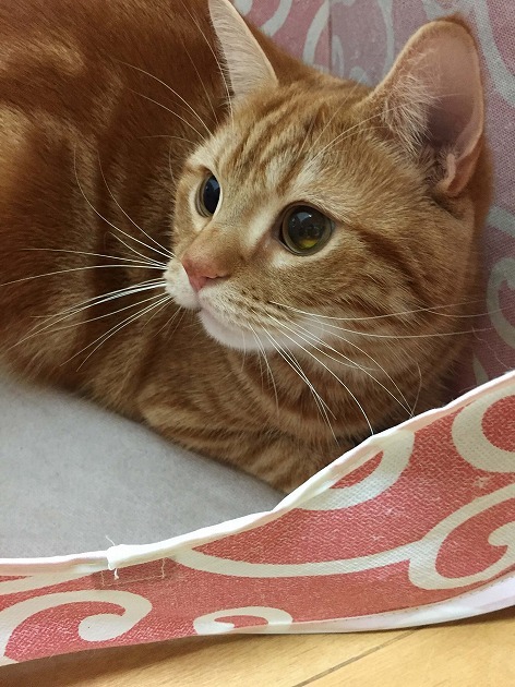 お気に入りの場所