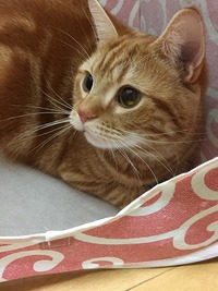 お気に入りの場所