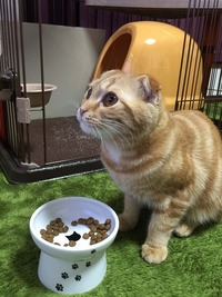 ハンモックでご機嫌♪