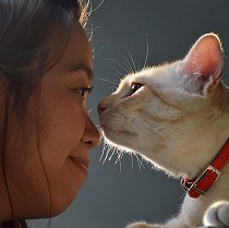 猫が私の顔を舐めてくれる♥これは愛？猫が人をペロペロする3つの理由