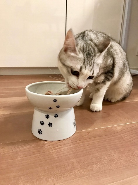 お気に入りのボウルで大好きなカニカマ♥