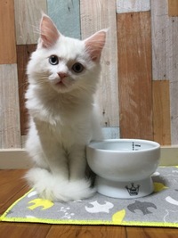 ぼく上手にお水飲めたよ♥