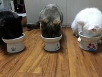 仲良くおやつタイム