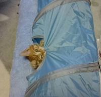 初めてのトンネル