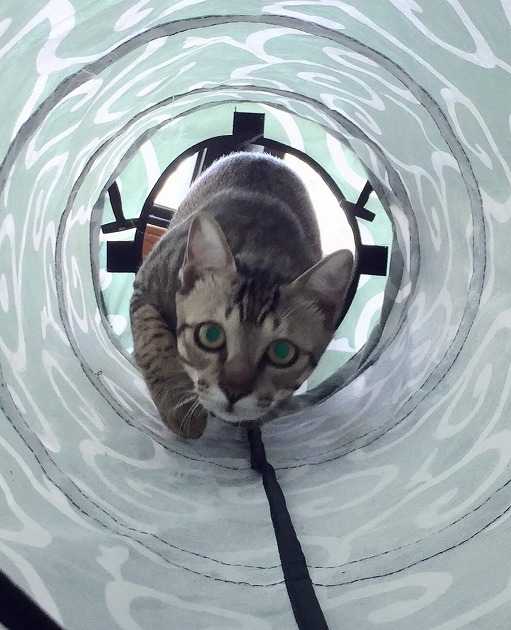 トンネルの先にはなにがある