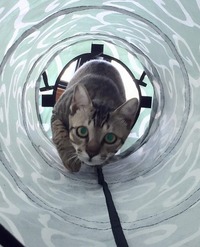 トンネルの先にはなにがある