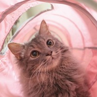 トンネル大好き