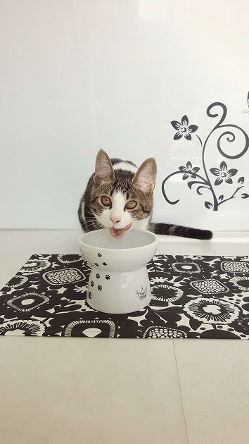 ご馳走様でした❤