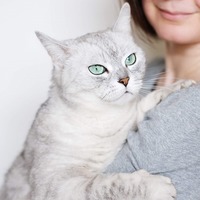 猫は天才的な「人たらし」？😼猫に学ぶ「人を操る心理テクニック」とは