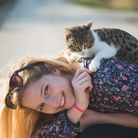 猫は本当は甘えん坊？ツンデレな猫でも突然甘えん坊になる理由とは