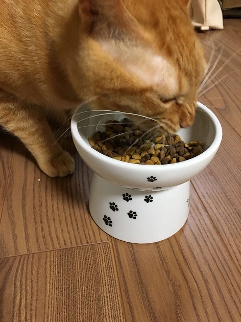 食べやすい(*´`*)